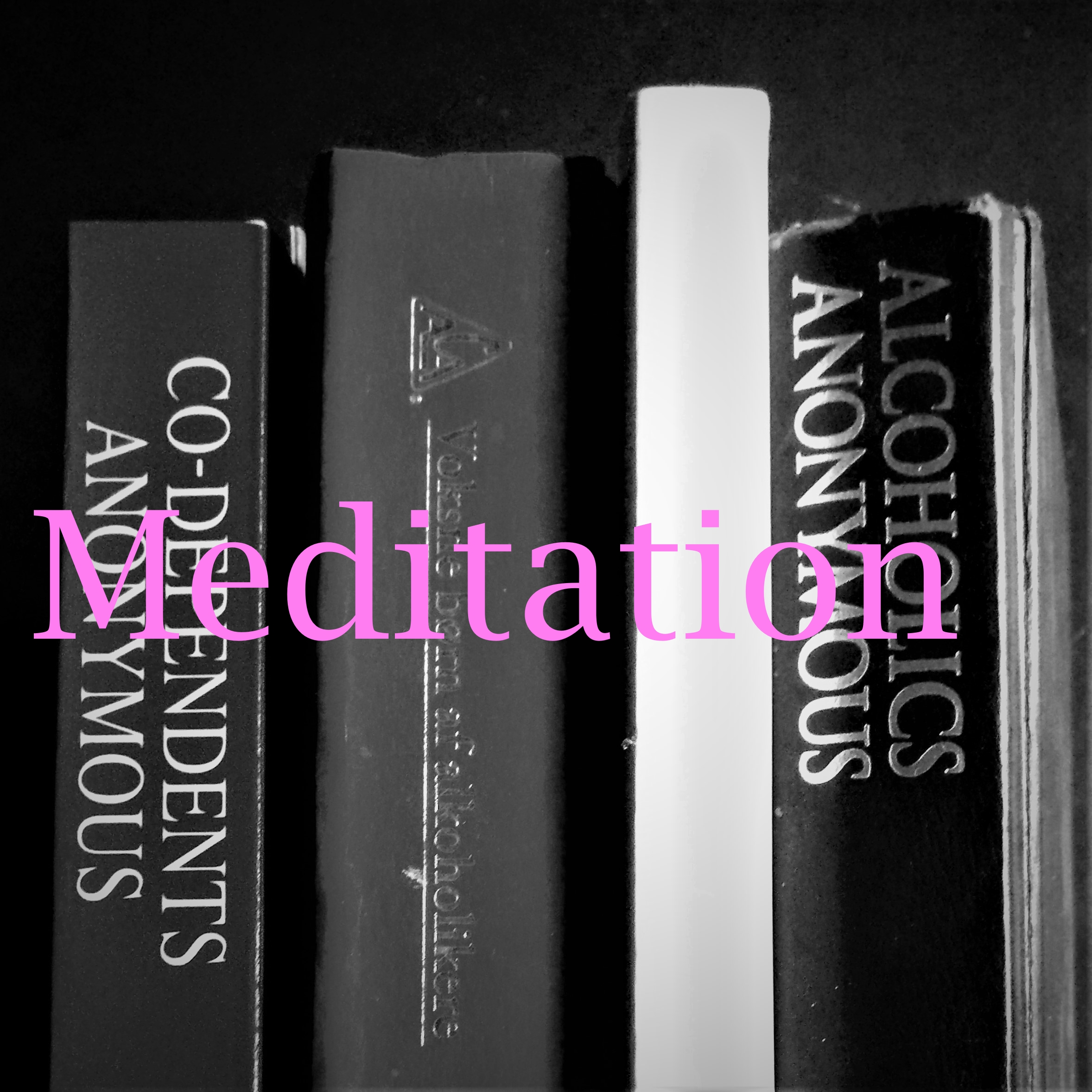 12 trins podcast